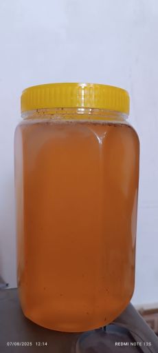 عسل گوند بی موم | JCHK-13622