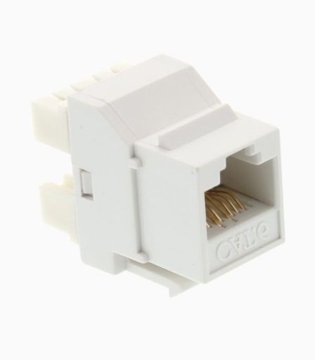 کیستون Cat6 UTP کی نت K-NKJC6U180 | JCHK-14382