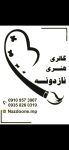 گالری هنری نازدونه