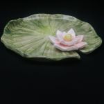 فنجان نعلبکی نیلوفر هیوا | JCHK-14720 فنجان نعلبکی نیلوفر هیوا | JCHK-14720