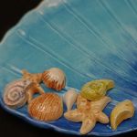 فنجان نعلبکی صدف هیوا | JCHK-14743 فنجان نعلبکی صدف هیوا | JCHK-14743