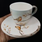 فنجان نعلبکی سینه سرخ هیوا | JCHK-14745 فنجان نعلبکی سینه سرخ هیوا | JCHK-14745