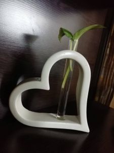 گلجا  | JCHK-15211