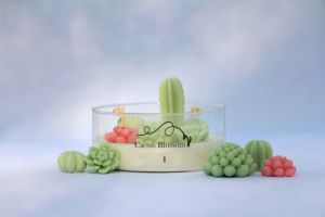 شمع جار کاکتوس  | JCHK-15003