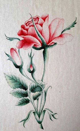 نقاشی گل و مرغ | JCHK-15030