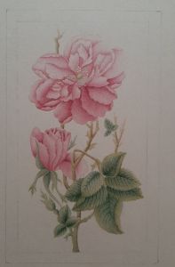 گل و مرغ | JCHK-15031