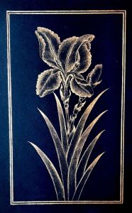 گل‌و مرغ | JCHK-15032