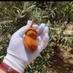 کاور قالبی ایرپاد پرو و پرو۲ چرم طبیعی دستدوز  | JCHK-15087