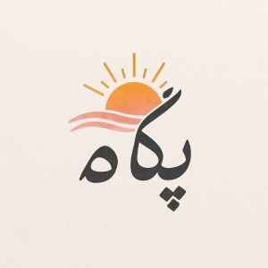 گلدوزی/اکسسوری
