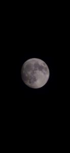 خوشحال فروشی رونا