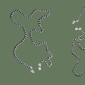 بند عینک هکاته | JCHK-15985