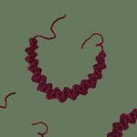 گردنبند قلاب بافی موج دار | JCHK-16368