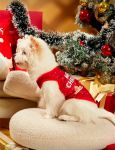 حلقه‌ای کریسمس لوکس پت  Merry Christmas LUX-PET | JCHK-16031