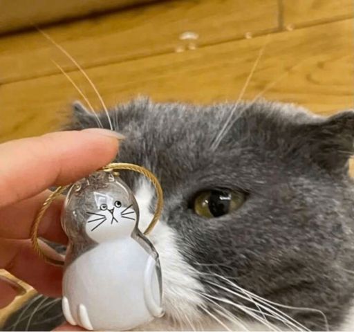 سرسوئیچی پت با طرح گربه جا پشمی | JCHK-16047