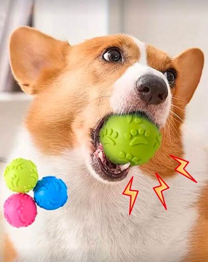 توپ رنگی مخصوص پت – سرگرمی و انرژی در سه رنگ شاد! | JCHK-16048