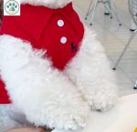 پولو شرتLUXPETسرمه ای با لطافت صورتی و انرژی قرمز | JCHK-16052