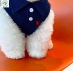 پولو شرتLUXPETسرمه ای با لطافت صورتی و انرژی قرمز | JCHK-16052