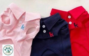 پولو شرتLUXPETسرمه ای با لطافت صورتی و انرژی قرمز | JCHK-16052