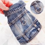 کت جین لی پت | JCHK-16054