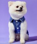 کت جین لی پت | JCHK-16054