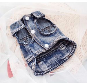 کت جین لی پت | JCHK-16054