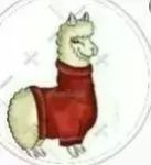 بافت لباس و عروسک بافی