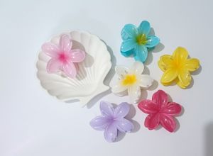 کلیپس پلومریا | JCHK-16151