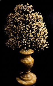 درختچه سیترین | JCHK-16316