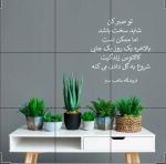 فروش انواع گلدان های بتنی و سرامیکی