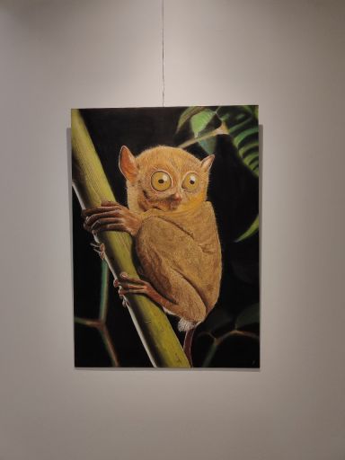 نقاشی حیات وحش، میمون شبگرد با پاستل | JCHK-16347