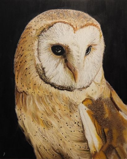 تابلو نقاشی جغد با تکنیک پاستل گچی | JCHK-16350