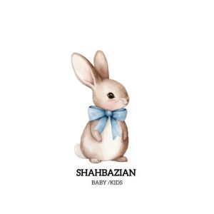 شهبازیان کالکشن
