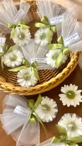 گیفت بابونه | JCHK-16436