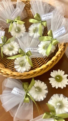 گیفت بابونه | JCHK-16436