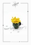 مگنت یخچال | JCHK-16575