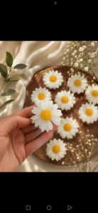  مارگریت | JCHK-16641