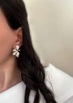 گوشواره | JCHK-16630