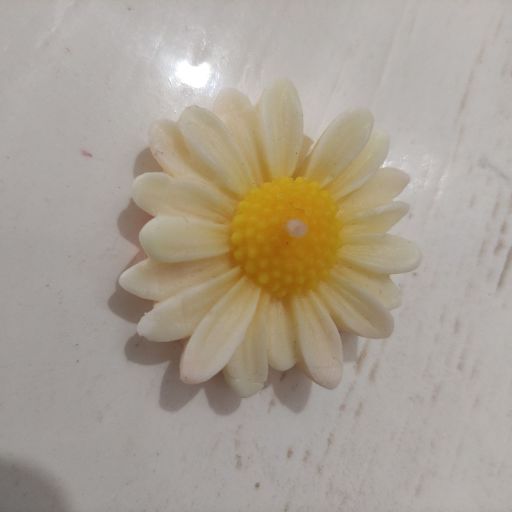 گیفت بابونه🌼 | JCHK-16712