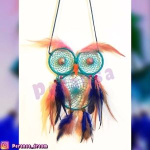 دريم كچر جغد | JCHK-4174