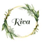 گالری گلدون ودکوری