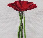 شماره دوزی گل شقایق | JCHK-3213