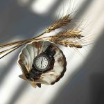 صدف دکوراتیو  | JCHK-6375