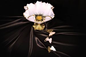 میوه خوری رزینی | JCHK-6439