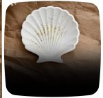 هفت سین  | JCHK-6483